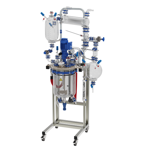 Glass reactor system