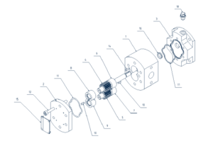 Exploded view of a gear pump